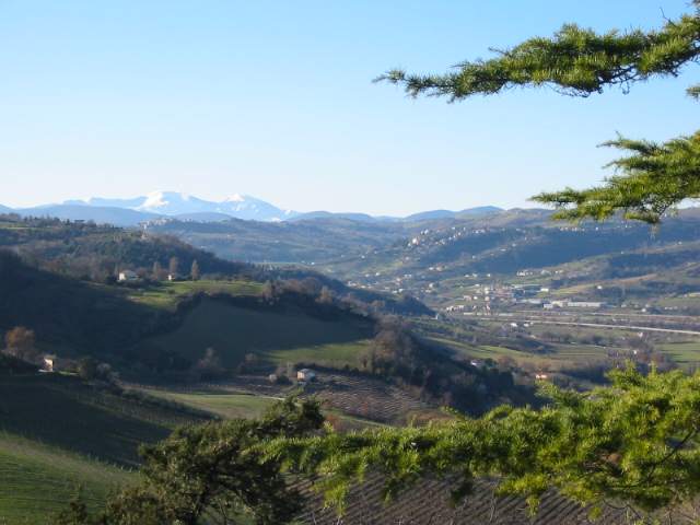 Panorama da Castelbellino verso il Monte Catria
